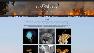 Thumbnail of davejphotography.com