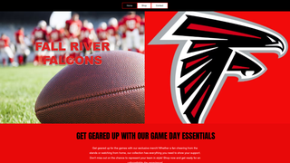 Thumbnail of falconsfanshop.com