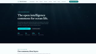 Site preview