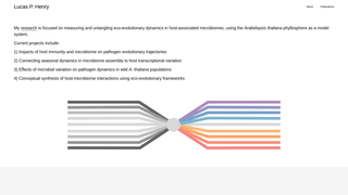 Thumbnail of lphenry.net