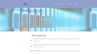 Thumbnail of ferroserver.com