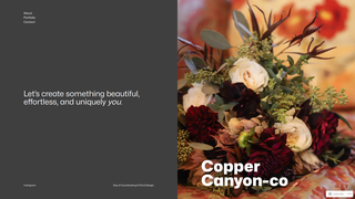 Thumbnail of coppercannyon-co.com