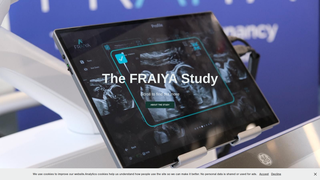 Thumbnail of thefraiyastudy.org