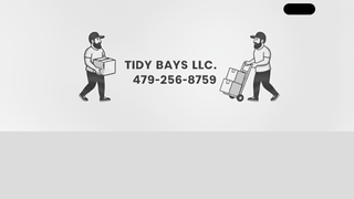 Thumbnail of tidybays.com