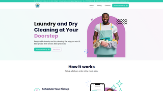Thumbnail of premierlaundrylongbeach.com