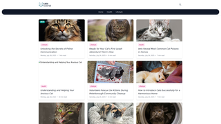 Thumbnail of cats-tutorial.com
