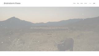 Screenshot of brainstormpress.com