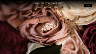 Thumbnail of trishadisneyphotography.com