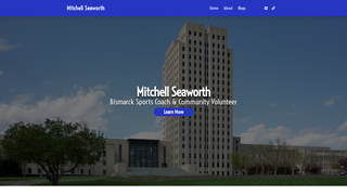 Thumbnail of mitchellseaworth.com