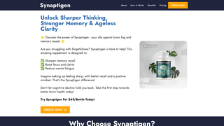 Thumbnail of synaptigin.com