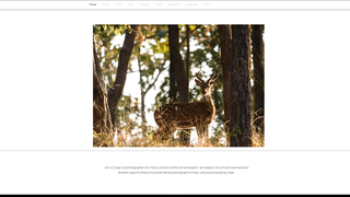 Thumbnail of matthewillsleyphotography.com