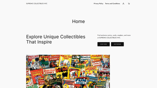 Thumbnail of supremecollectiblesnyc.com