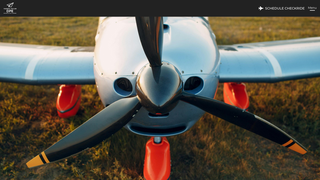 Thumbnail of naplesdpe.com