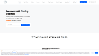 Screenshot of ttimefishingchartersga.com