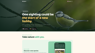 Site preview