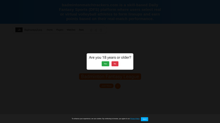 Thumbnail of badmintonmatchtrackers.com