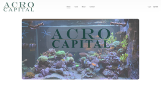 Screenshot of acrocapital.store