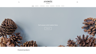 Thumbnail of andreeparis.com