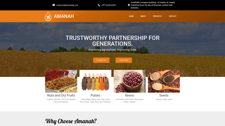 Thumbnail of amanahgt.com
