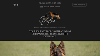 Thumbnail of vintanigsd.com
