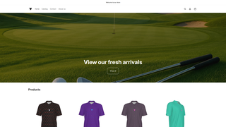 Thumbnail of birdiemodegolfco.com