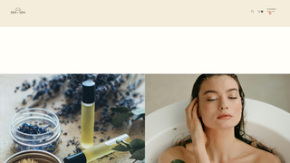 Thumbnail of zenandsen.com