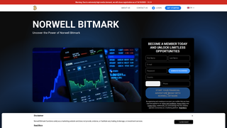 Thumbnail of norwellbitmarksoftware.com