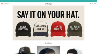 Thumbnail of selectdye.com
