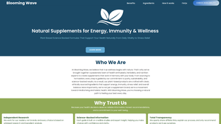 Thumbnail of bloomingwave.com