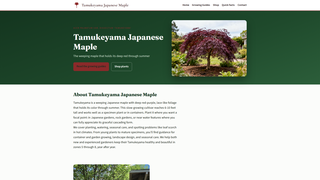 Site preview