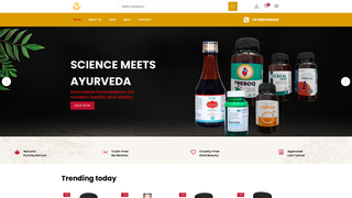 Thumbnail of fressiahealthcare.com