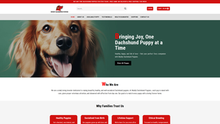 Thumbnail of muddydachshundpuppies.com
