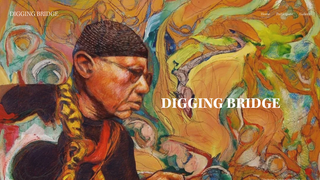 Thumbnail of diggingbridge.com