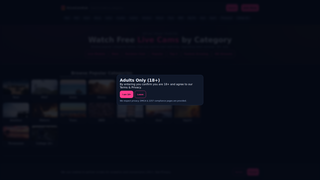 Thumbnail of xlivecamhub.com