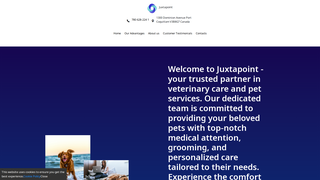 Thumbnail of networkvisionai.com