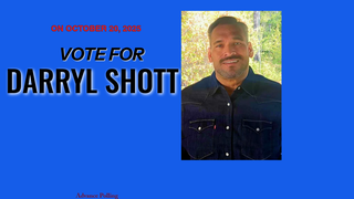Thumbnail of darrylshott.com