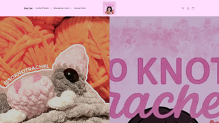 Thumbnail of soknotrachel.com