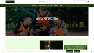 Thumbnail of allstarhikingoutlet.com