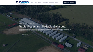 Thumbnail of mavirusgroup.com