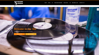 Thumbnail of therecordneedle.com