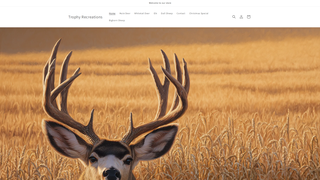 Thumbnail of trophyrecreations.com