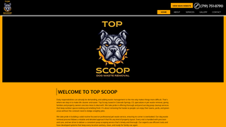 Thumbnail of topscoopcoloradosprings.com