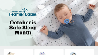 Thumbnail of safesleeplpc.org