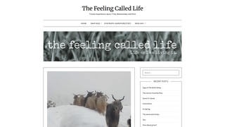 Thumbnail of thefeelingcalledlife.com