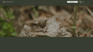 Thumbnail of rootsberks.com