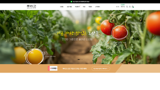 Thumbnail of bburigo.com