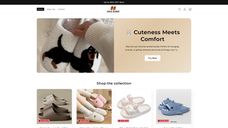 Thumbnail of soleslides.com