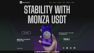 Thumbnail of monzausdt.com