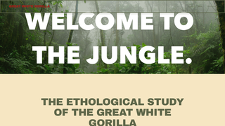 Thumbnail of greatwhitegorilla.com
