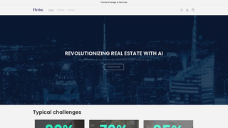 Thumbnail of flyrisestrategy.com